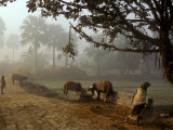 Village Scene, Vaishali, India Photographie par James Gritz