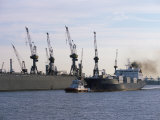 Cranes, Port of Hamburg, Hamburg, Germany Photographic Print by Yadid Levy