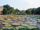 Wilhelma Zoo and Botanical Gardens, Stuttgart, Baden Wurttemberg, Germany Photographic Print by Yadid Levy