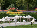 Wilhelma Zoo and Botanical Gardens, Stuttgart, Baden Wurttemberg, Germany Photographie par Yadid Levy