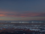 Iceberg and Pack Ice, Weddell Sea, Antarctic Peninsula, Antarctica, Polar Regions Lámina fotográfica por Thorsten Milse Iceberg and Pack Ice, Weddell Sea, Antarctic Peninsula, Antarctica, Polar Regions Lámina fotográfica por Thorsten Milse