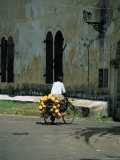 Coconut Seller Riding His Bicycle, Galle, Sri Lanka Lámina fotográfica por Yadid Levy Coconut Seller Riding His Bicycle, Galle, Sri Lanka Lámina fotográfica por Yadid Levy