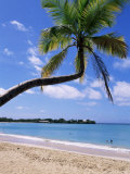 Les Salines Beach, Near Sainte Anne, Martinique, Lesser Antilles Photographie par Yadid Levy