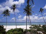 Matemwe Beach, Zanzibar, Tanzania, East Africa, Africa Photographic Print by Yadid Levy