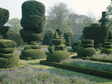 Topiary, Levens Hall, Cumbria, England, United Kingdom Photographic Print by Christina Gascoigne