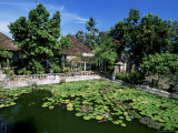 Ornamental Lake at the Old Palace of the Raja of Karangasem, Amlapura, Bali, Indonesia Photographic Print by Robert Francis