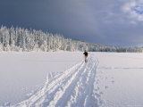 Cross Country Skiing, Abortjern, Oslomarka (Baerumsmarka), Olso, Norway, Scandinavia Photographic Print by Kim Hart