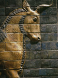 Babylonian Wall Tiles, Babylon, Iraq, Middle East Photographie par Christina Gascoigne