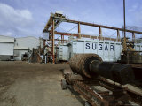 Portvale Sugar Factory, St. James Parish, Barbados, West Indies, Caribbean, Central America Photographic Print by Robert Francis