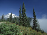 Icy Peak of 4394M Volcano Mount Rainier, Highest Point in State, Washington State, North America Photographic Print by Robert Francis Icy Peak of 4394M Volcano Mount Rainier, Highest Point in State, Washington State, North America Photographic Print by Robert Francis