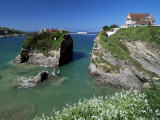The Island off Towan Beach, Newquay, Cornwall, England, United Kingdom Photographic Print by Robert Francis