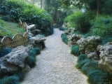 Humble Administrator's Garden, Unesco World Heritage Site, Souzhou (Suzhou), China Photographic Print by Jochen Schlenker