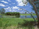 The Yellow Water Wetlands on Floodplain of the Alligator River, Kakadu National Park, Australia Photographic Print by Robert Francis