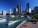 Sydney Cove and Circular Quay, Sydney, New South Wales, Australia Photographic Print by Robert Francis
