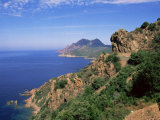 Golfe De Galeria, Corsica, France, Mediterranean Photographie par Yadid Levy