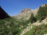 Gorges De La Restonica, Bergerie De Grottelle, Corsica, France Photographie par Yadid Levy