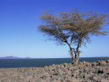 Lake Turkana, Kenya, East Africa, Africa Photographic Print by Storm Stanley