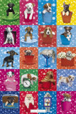 Kimberlin Dog Collage Affiches