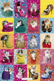 Kimberlin Cat Collage Photographie
