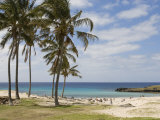 Anakena Beach, Easter Island (Rapa Nui), Chile, South America Photographic Print by Michael Snell