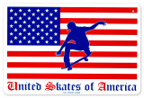 United Skates Of America Blikskilt