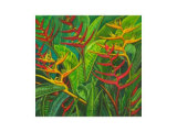 Bird of Paradise Limited Edition