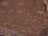 Etchings on Sandstone, 6000 Years Old, Finest Rock Art in Africa, Damaraland, Namibia Photographie par Tony Waltham