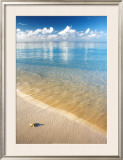 Starfish Prints by Peter Cade