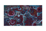 Red Ariel Offering Limited Edition by Julian Corvin