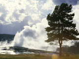 Geothermal Steam from Geyser Vent Between Eruptions, Yellowstone National Park, USA Photographic Print by Tony Waltham