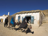 Man Walking Behind Women on Donkeys, Syadara, Between Yakawlang and Daulitiar, Afghanistan Photographic Print by Jane Sweeney