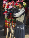 Driver with His Colourful Horse Cart, Maimana, Faryab Province, Afghanistan Photographic Print by Jane Sweeney