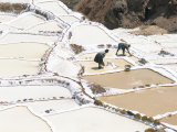 Inca Salt Pans Below Salt Spring, Salineras De Maras, Sacred Valley, Cuzco Region (Urabamba), Peru Lámina fotográfica por Tony Waltham