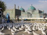 People Feeding the Famous White Pigeons, Mazar-I-Sharif, Afghanistan Photographic Print by Jane Sweeney