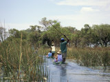 Tourists in Dug out Canoe (Mokoro), Okavango Delta, Botswana, Africa Photographic Print by Jane Sweeney