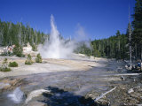 Echinus Geyser, Erupts Every Hour in Norris Basin, Yellowstone National Park, Wyoming Photographic Print by Tony Waltham