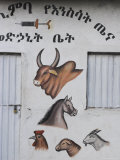 Veterinary Practice, Lower Omo Valley, Jinka, Ethiopia, Africa Photographic Print by Jane Sweeney