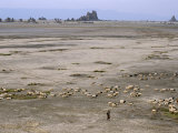 Lac Abhe in Wide Rift Valley, Relics from Old Lake at Higher Level, Djibouti Photographie par Tony Waltham