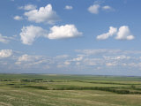 Prairie Farmland, North Dakota, USA Fotografie-Druck von Tony Waltham