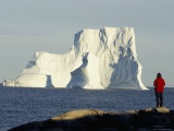 Icebergs in Disko Bay, Qeqertarsuag (Godhavn) on Disko Island, West Coast, Greenland, Polar Regions Photographic Print by Tony Waltham