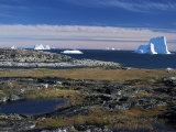 Shore Platform with Autumn Tundra, Qeqertarsuaq (Godhavn), Disko Bay, Island, West Coast, Greenland Lámina fotográfica por Tony Waltham Shore Platform with Autumn Tundra, Qeqertarsuaq (Godhavn), Disko Bay, Island, West Coast, Greenland Lámina fotográfica por Tony Waltham