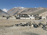 Village in Ra Valley Above Tingri, Cho Oyu and Himalayas in Distance, Tibetan Plateau, Tibet, China Photographic Print by Tony Waltham