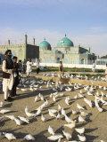 People Feeding the Famous White Pigeons, Mazar-I-Sharif, Afghanistan Photographic Print by Jane Sweeney