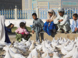 Woman Taking Photograph of Family Squatting on a Wall, Mazar-I-Sharif, Afghanistan Photographic Print by Jane Sweeney