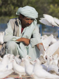 Man Feeding the Famous White Pigeons, Mazar-I-Sharif, Afghanistan Photographic Print by Jane Sweeney