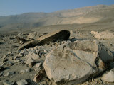 Petroglyphs, Toro Muerto, Rio Majes Valley, Peru, South America Photographic Print by Jane Sweeney