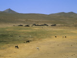 Nomad Tents Between Chakhcharan and Djam, Afghanistan Photographic Print by Jane Sweeney Nomad Tents Between Chakhcharan and Djam, Afghanistan Photographic Print by Jane Sweeney