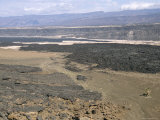 Lavas from Ardoukoba Volcano in Rift Valley 152M Below Sea Level, Afar Triangle, Djibouti, Africa Fotografisk tryk af Tony Waltham