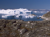 Icebergs from the Kangia Ice Fiord Seen from Hills Above Sermermiut, West Coast, Polar Regions Photographic Print by Tony Waltham