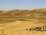 Man on Donkey, Between Chakhcharan and Jam, Afghanistan Photographic Print by Jane Sweeney
